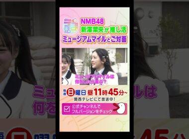 宝塚記念へ！有馬記念のヒーロー・ミュージアムマイル号に会ってきた！　#カンテレ競馬　#うま活　#競馬BEAT　#競馬　#NMB48　#shorts