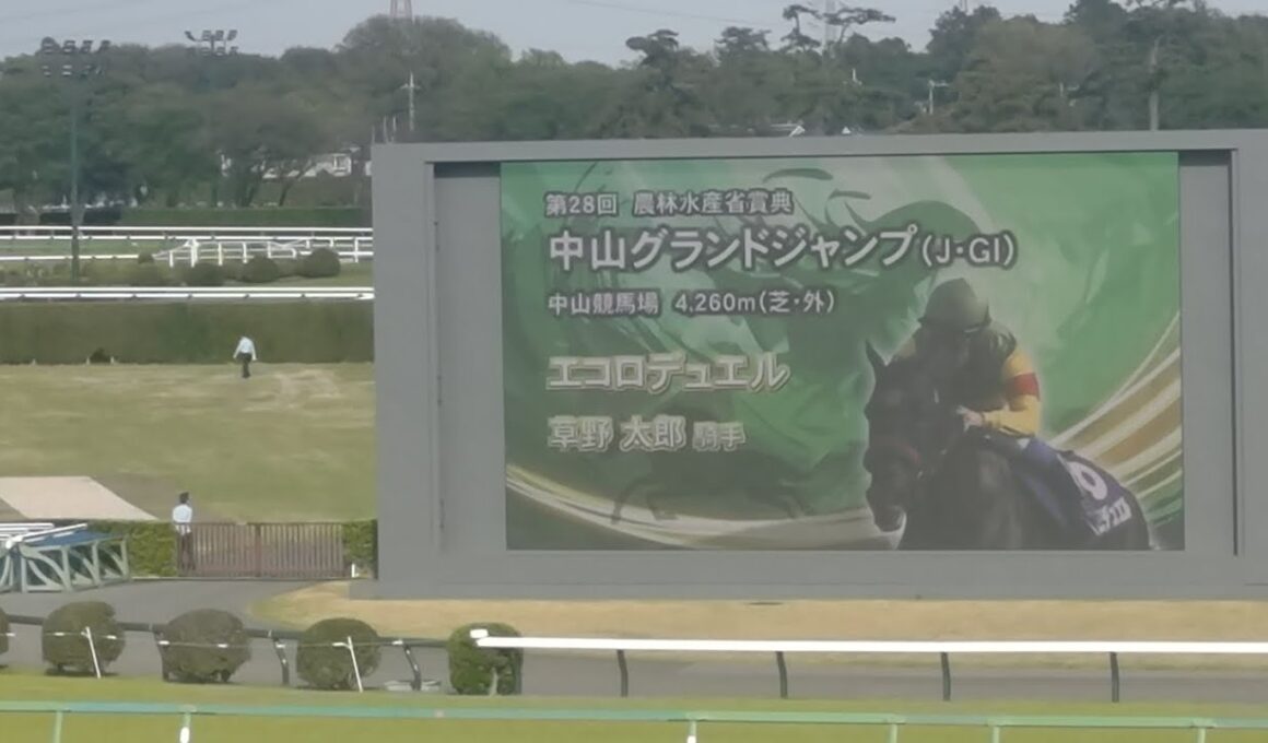 中山グランドジャンプ2026　現地観戦