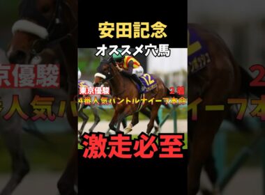 【安田記念2026】オススメ穴馬/ステレンボッシュ#安田記念 #ステレンボッシュ #競馬 #競馬予想 #中央競馬予想 #うまログ #ウマキング #中央競馬予想