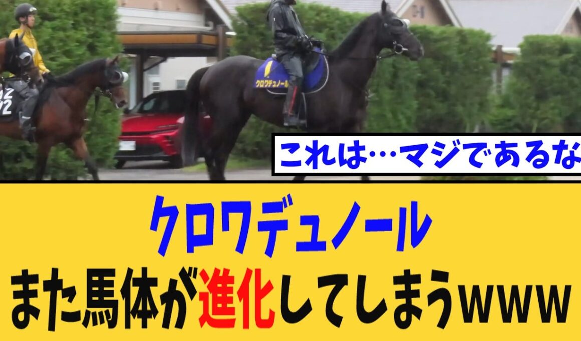 【宝塚記念】クロワデュノール、また馬体が進化してしまうｗｗｗ【競馬反応集】