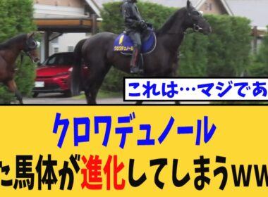 【宝塚記念】クロワデュノール、また馬体が進化してしまうｗｗｗ【競馬反応集】