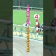 【ゴールドシップ物語④完結】ファン投票3年連続1位　内田博幸と挑んだ最後の航海　黄金の船の引退