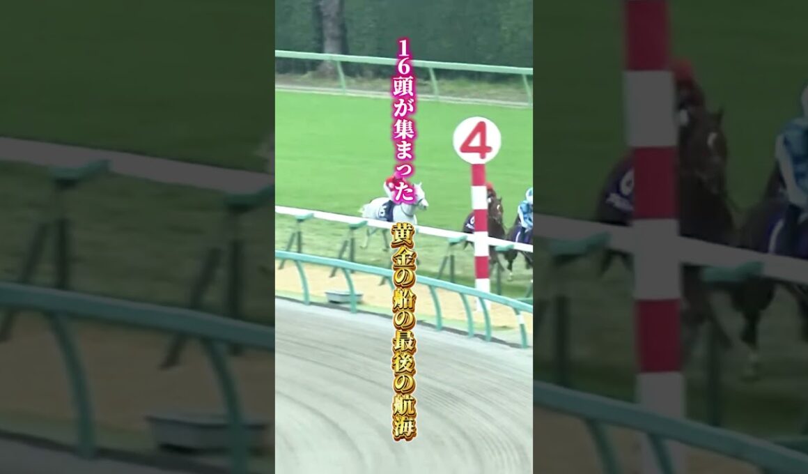 【ゴールドシップ物語④完結】ファン投票3年連続1位　内田博幸と挑んだ最後の航海　黄金の船の引退