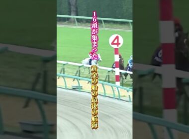【ゴールドシップ物語④完結】ファン投票3年連続1位　内田博幸と挑んだ最後の航海　黄金の船の引退