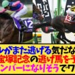 【宝塚記念2026】メイショウタバルが逃げる？それともミステリーウェイ…展開予想が白熱しすぎてるwww【競馬】