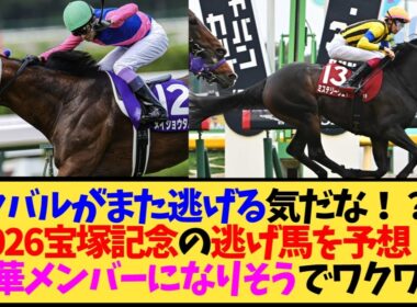【宝塚記念2026】メイショウタバルが逃げる？それともミステリーウェイ…展開予想が白熱しすぎてるwww【競馬】
