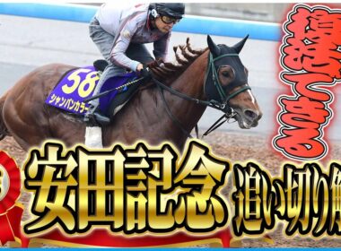 【安田記念2026】追い切り解説！春のマイル王、台風の目はこの馬だ！東西記者が各出走馬を徹底解説します！《東スポ競馬》