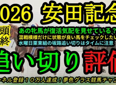 【最終追い切り評価】2026安田記念！混戦模様なので状態の把握は大事に！あの牝馬が復調気配？