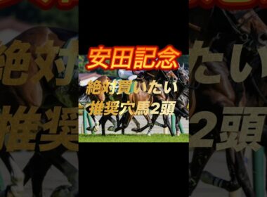 安田記念2026 絶対買いたい推奨穴馬2頭紹介