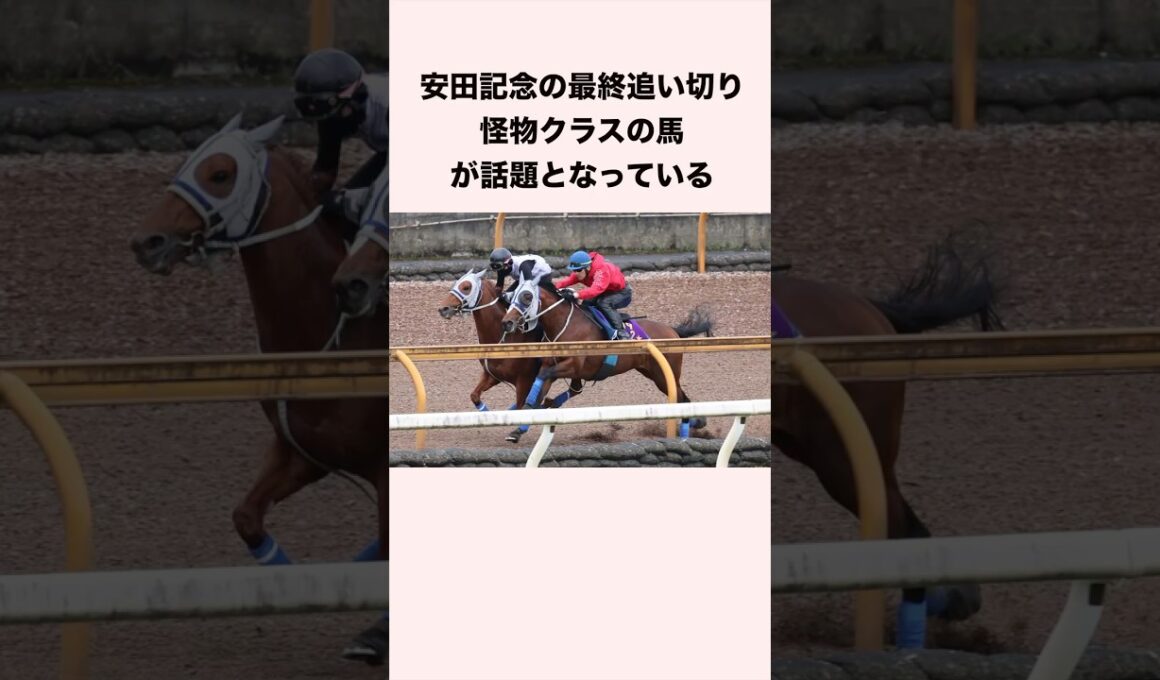 安田記念の最終追い切り怪物クラスの馬が話題となっている #競馬 #競馬予想 #shorts