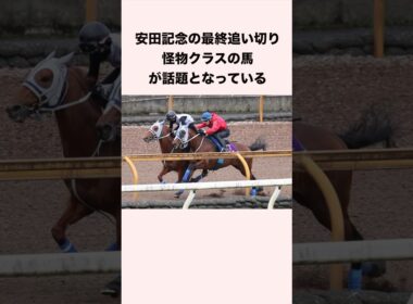 安田記念の最終追い切り怪物クラスの馬が話題となっている #競馬 #競馬予想 #shorts