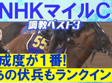 【昨年は９番人気のパンジャタワーを推奨！】カヴァレリッツォ、ダイヤモンドノット、エコロアルバ・・・競馬エイト・高橋賢司トラックマンの調教解説＜NHKマイルカップ(ＧⅠ)＞