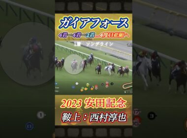 安田記念4度目挑戦のガイアフォースが悲願達成なるか⁉︎　#競馬  #安田記念  #ガイアフォース  #東京競馬場  #GI  #shorts