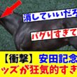 【安田記念】【衝撃】想定オッズが狂気的すぎる!?w