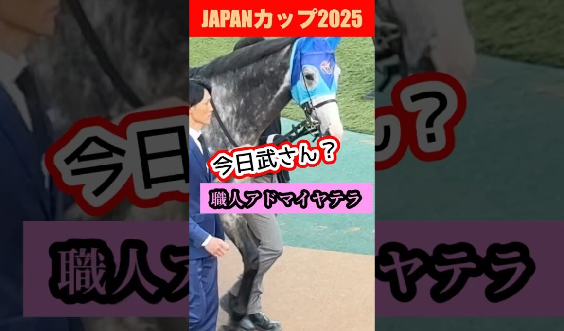 【ジャパンカップ2025現地】騎手を振り落として…この走り。アドマイヤテラの衝撃」