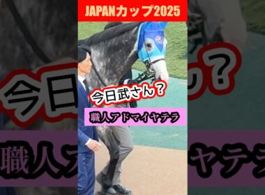 【ジャパンカップ2025現地】騎手を振り落として…この走り。アドマイヤテラの衝撃」