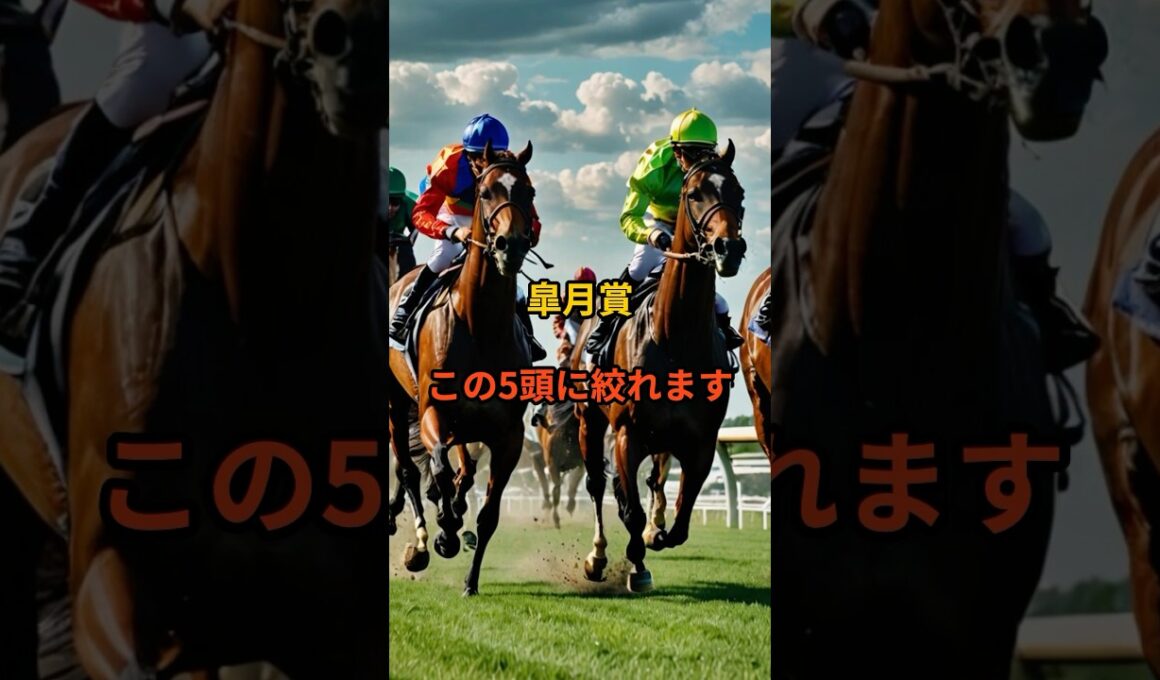 皐月賞、データで削ると“この5頭”しか残らない#皐月賞#皐月賞2026#クラシック#競馬予想#競馬#中央競馬#JRA#競馬好きと繋がりたい#競馬ショート#重賞予想#G1#本命馬#穴馬
