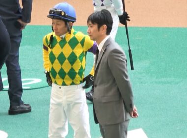 【阪神ジュベナイルフィリーズ2025】 全頭パドック 現地映像 スターアニス