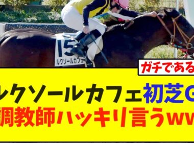 ルクソールカフェ、初芝GI、堀調教師ハッキリ言うwww【安田記念】
