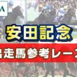 【参考レース】2026年 安田記念｜JRA公式