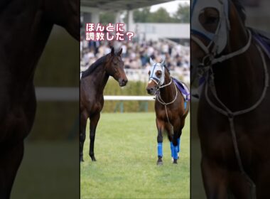 タバルの特異能力がバレた日——ミュージアムマイル驚愕の追い切り後