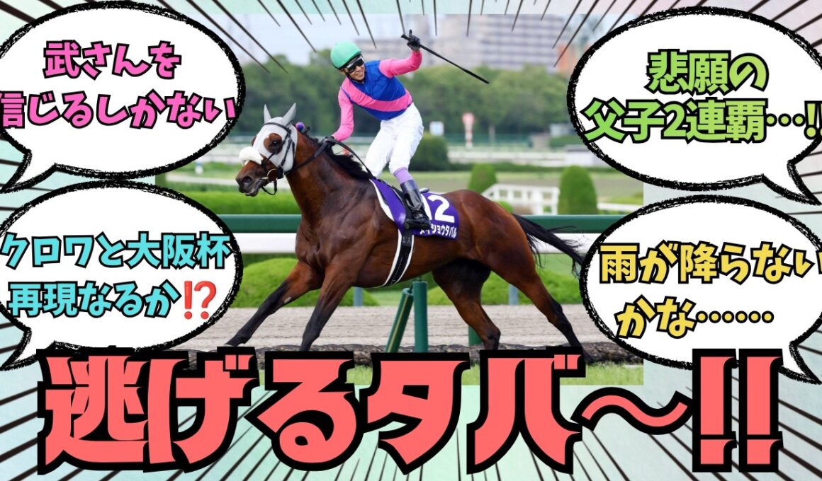 【メイショウタバル】宝塚記念は結局、誰が逃げると思う？に対する競馬好きの反応【競馬の反応集】