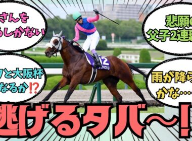 【メイショウタバル】宝塚記念は結局、誰が逃げると思う？に対する競馬好きの反応【競馬の反応集】