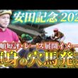【安田記念2026】【レース展開】枠順確定後の渾身の穴馬とレース展開予想•見解