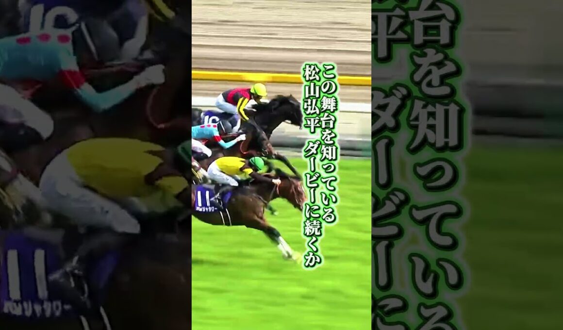 【安田記念2026】王者不在の史上稀に見る大混戦 トロヴァトーレ連勝中・ガイアフォース4年目の悲願  春のマイル王は誰だ