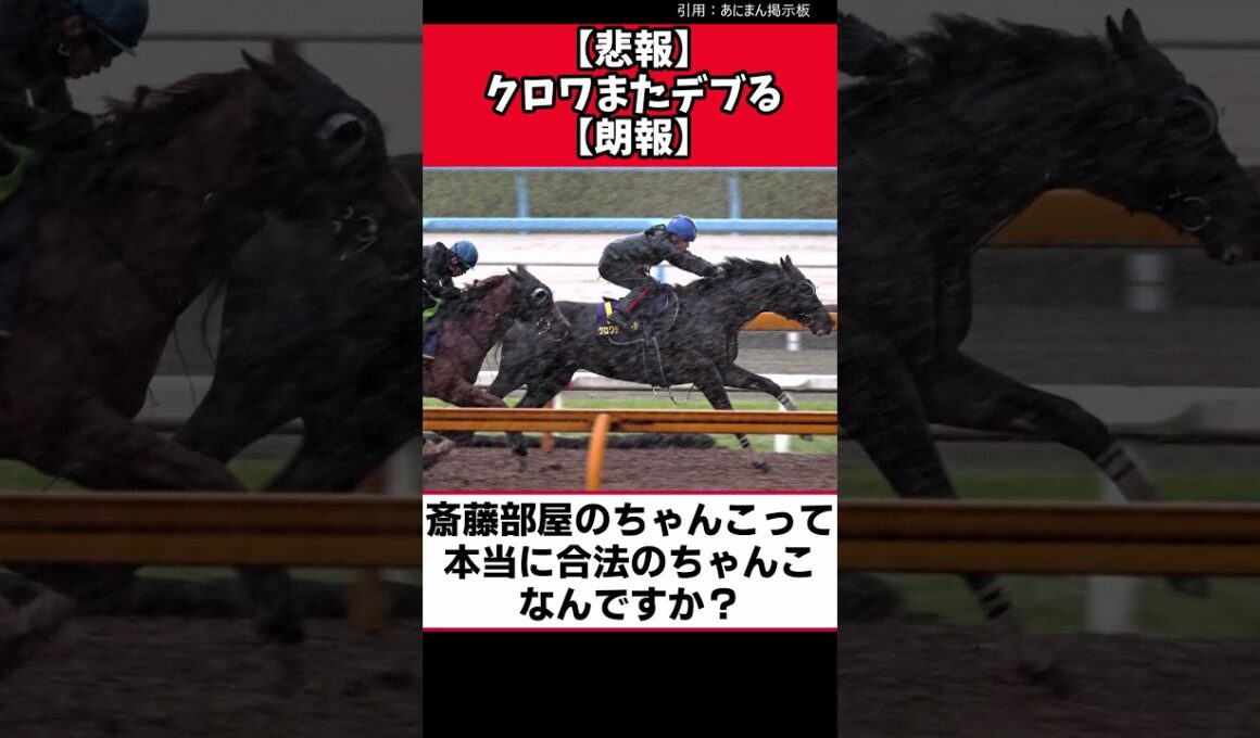 【悲報】クロワまたデブる【朗報】【競馬反応集】　＃クロワデュノール　＃宝塚記念 #競馬