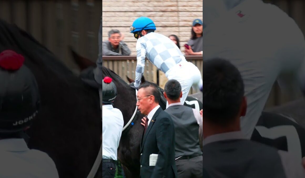 ギュルヴィ×武豊騎手　騎乗風景。#競馬　#東京競馬場　#武豊 　#オークス日
