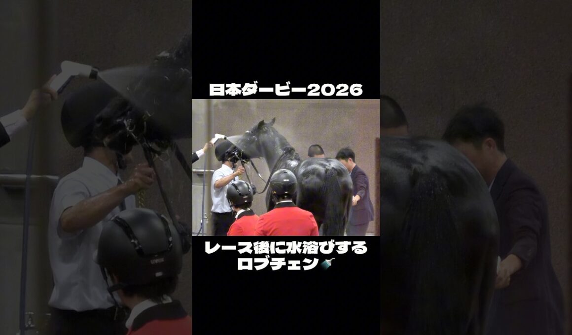 【日本ダービー2026】レース後に水浴びするロブチェン #shorts #松山弘平 #日本ダービー