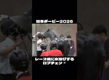 【日本ダービー2026】レース後に水浴びするロブチェン #shorts #松山弘平 #日本ダービー