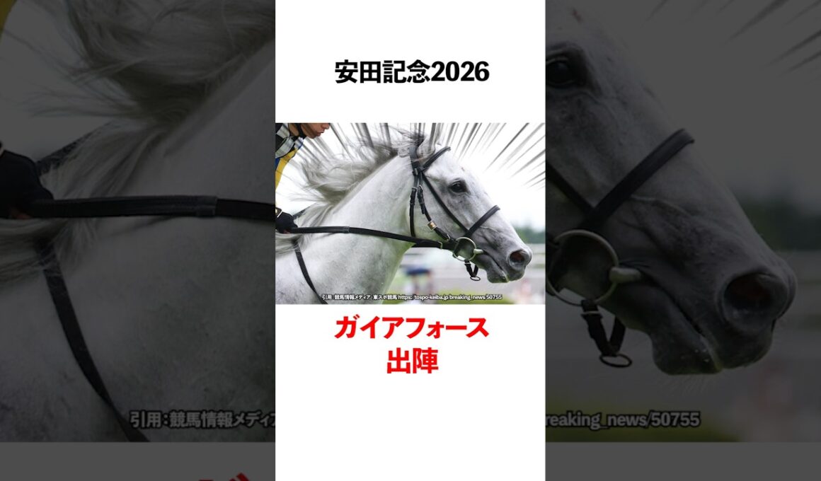 安田記念2026 ガイアフォース出陣！