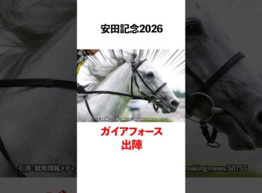 安田記念2026 ガイアフォース出陣！