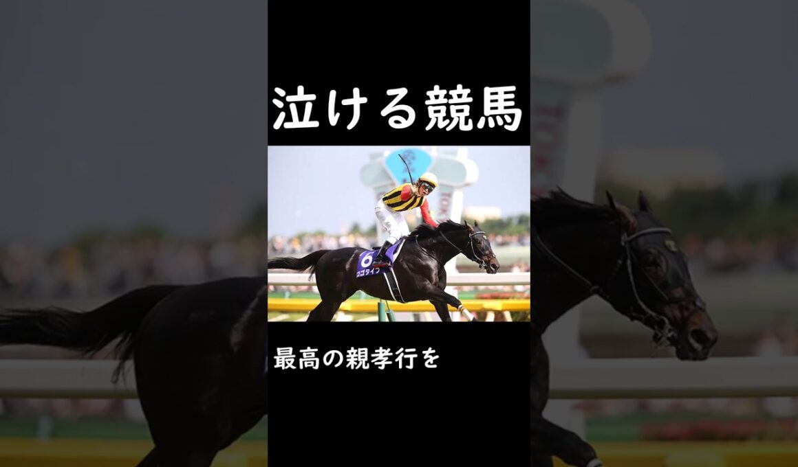 【泣ける競馬】最高の親孝行を【ゆっくり解説】#shorts #競馬 #安田記念