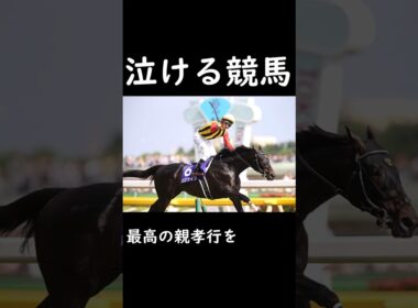 【泣ける競馬】最高の親孝行を【ゆっくり解説】#shorts #競馬 #安田記念