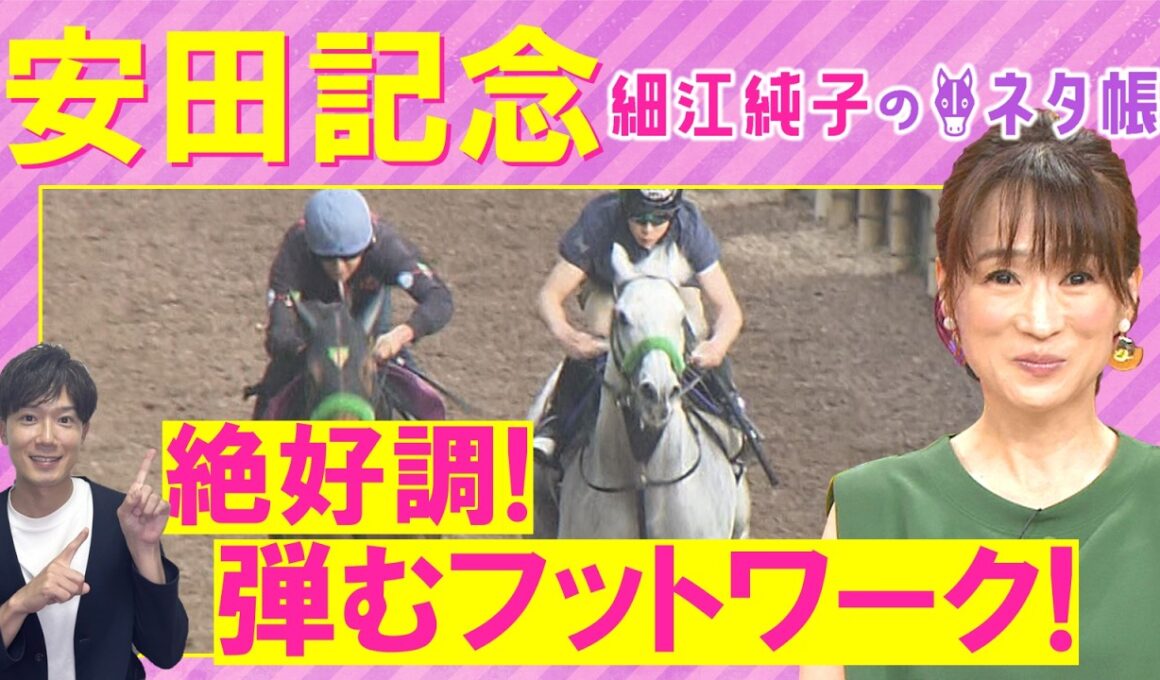 「復調気配あり！距離馬場問題なし」ガイアフォース、ステレンボッシュ、パンジャタワー・・・安田記念(ＧⅠ)を元ジョッキーの細江さんが徹底解説！＜細江純子のネタ帳＞
