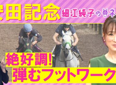 「復調気配あり！距離馬場問題なし」ガイアフォース、ステレンボッシュ、パンジャタワー・・・安田記念(ＧⅠ)を元ジョッキーの細江さんが徹底解説！＜細江純子のネタ帳＞