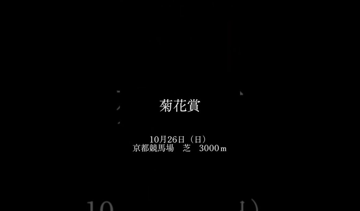 菊花賞：もしもあのCMが復活したらどうなるか？