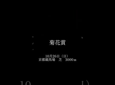 菊花賞：もしもあのCMが復活したらどうなるか？