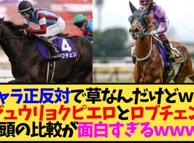 【オークス/ダービー2026】ジュウリョクピエロとロブチェン、共通点だらけなのにキャラが正反対すぎるwww【競馬】