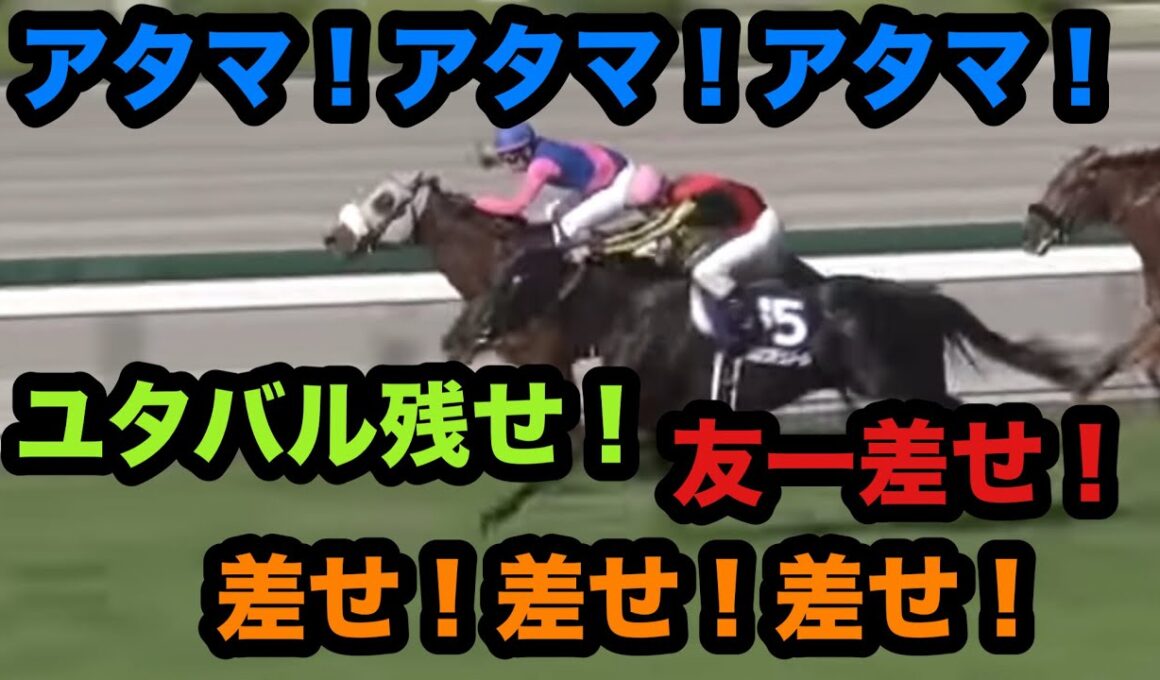 【競馬場現地観戦シリーズ#４】2026年大阪杯 熱き男達による戦い