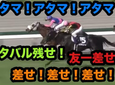 【競馬場現地観戦シリーズ#４】2026年大阪杯 熱き男達による戦い
