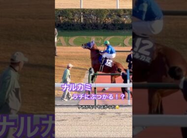 【ナルカミ、ラチにぶつかる！？】ケガがなくてよかった🥲 #チャンピオンズカップ #ナルカミ #競馬