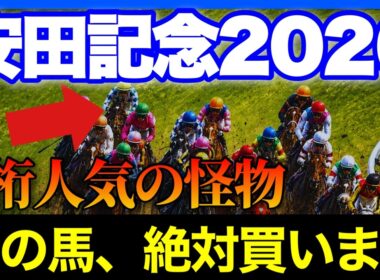 想定13番人気なのにずば抜けて強い、安田記念で狙いたい馬がいます🏇🔥【安田記念2026】
