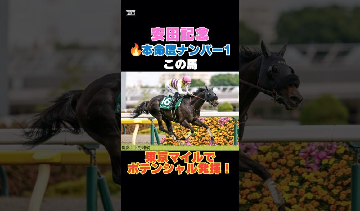 【安田記念2026】本命度ナンバー1はこの馬🔥東京マイルでポテンシャル発揮！
