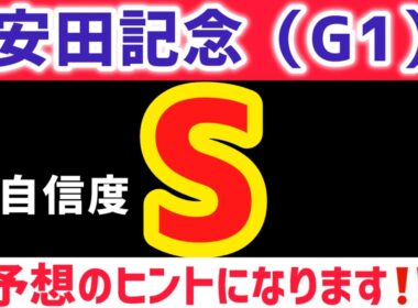 【安田記念2026 予想】パンジャタワーは買いません