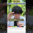 【競馬予想】安田記念で来たら人生が変わる大穴馬紹介#競馬#競馬予想#安田記念