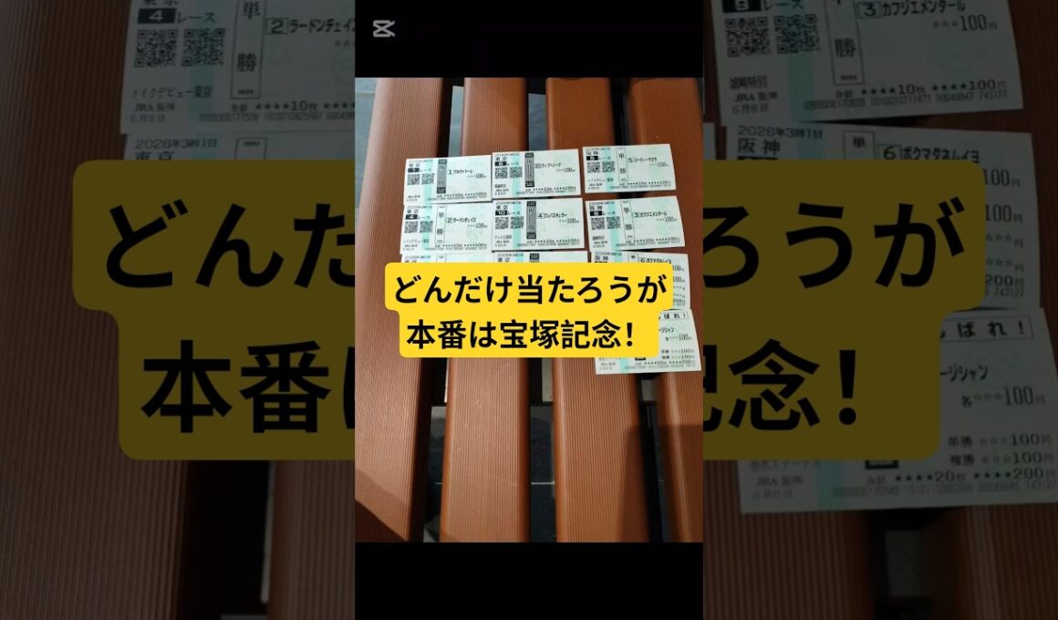 【開催初日】競馬予想が神懸かった阪神競馬場【現地参戦】